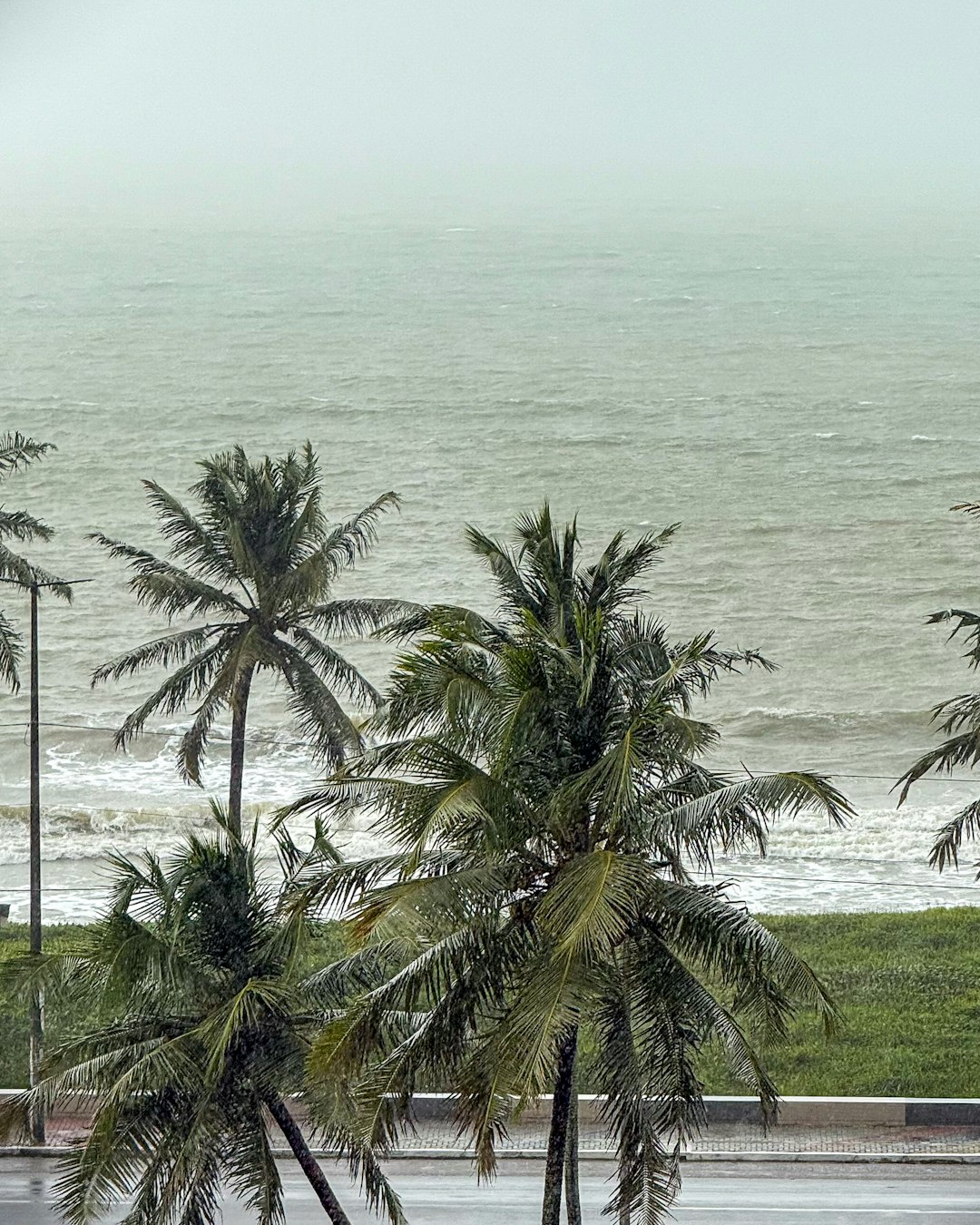 דיווח מיוחד: בישראל נערכים להיערכות לצונאמי בצל רעידות אדמה ביוון