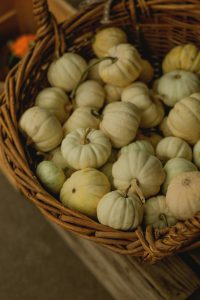 עונת הסתו מביאה עמה מתכונים חדשים ומטריפים – טיפים טעימים לעונה