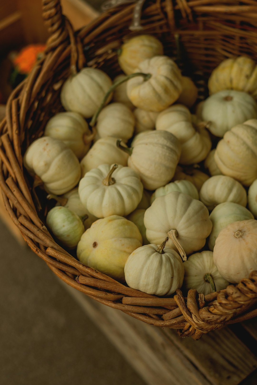 עונת הסתו מביאה עמה מתכונים חדשים ומטריפים – טיפים טעימים לעונה